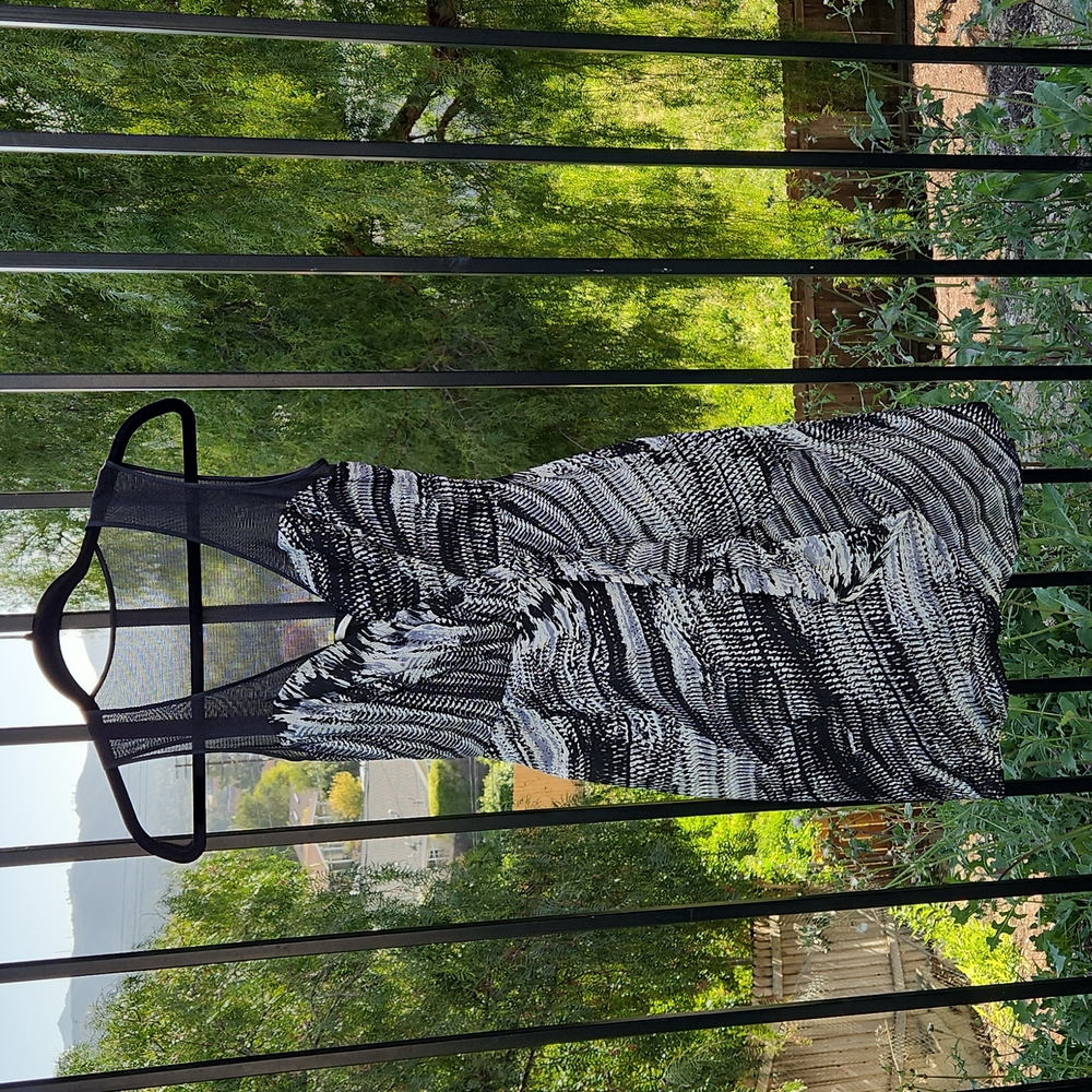 EUC Sheer Silk Dress